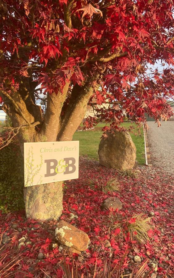 Chris And Dave'S B & B Otorohanga Exterior photo